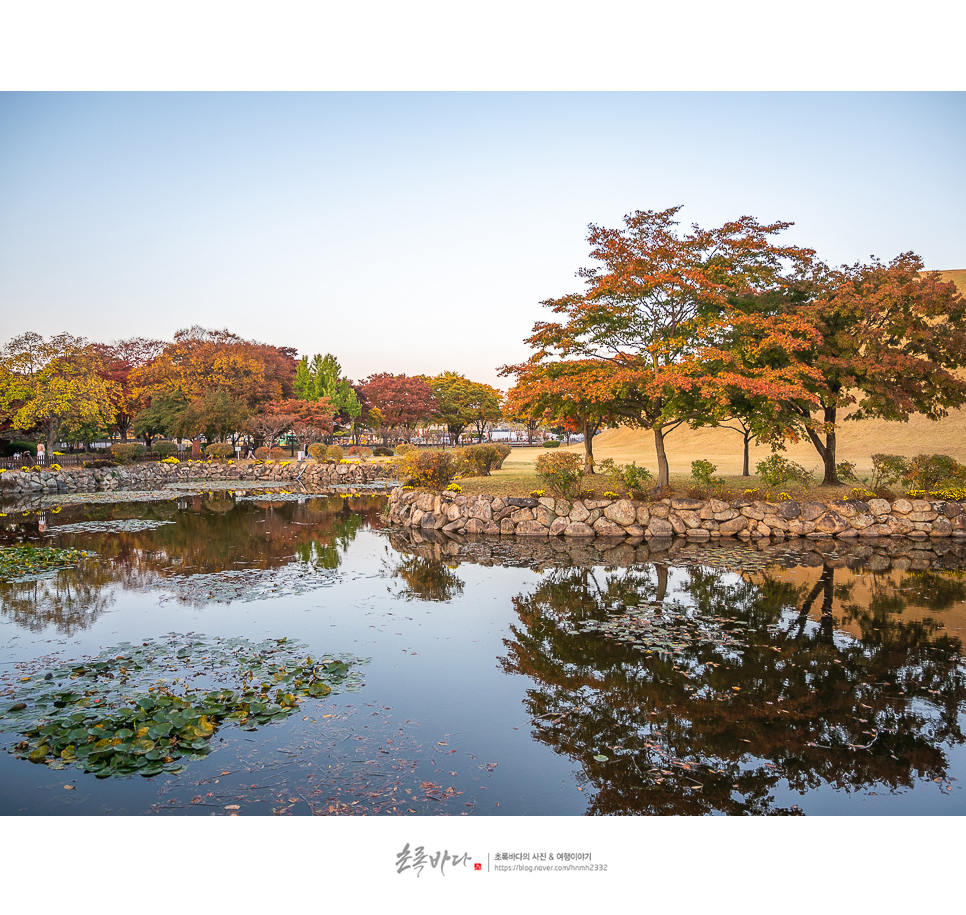 경주 여행 경주 대릉원 천마총 포토존 왕릉 명소 볼거리