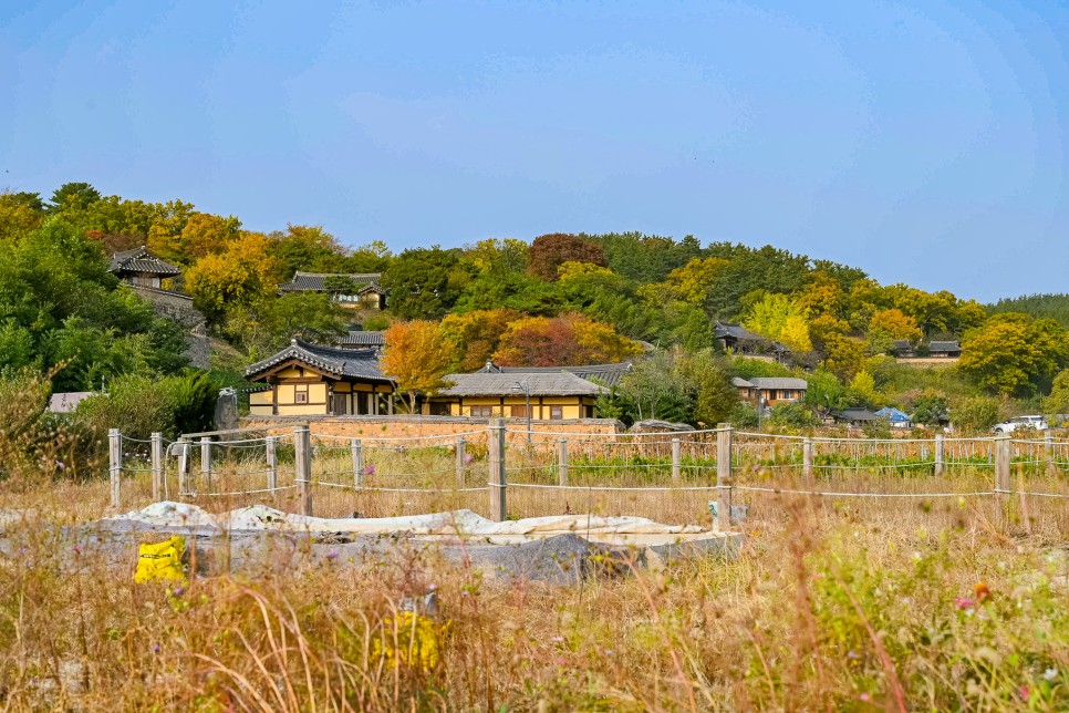 경주 양동마을 니콘 Z7II 로 찍은 가을 풍경