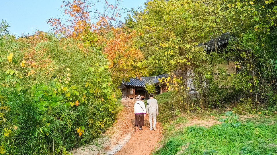 경주 양동마을 니콘 Z7II 로 찍은 가을 풍경