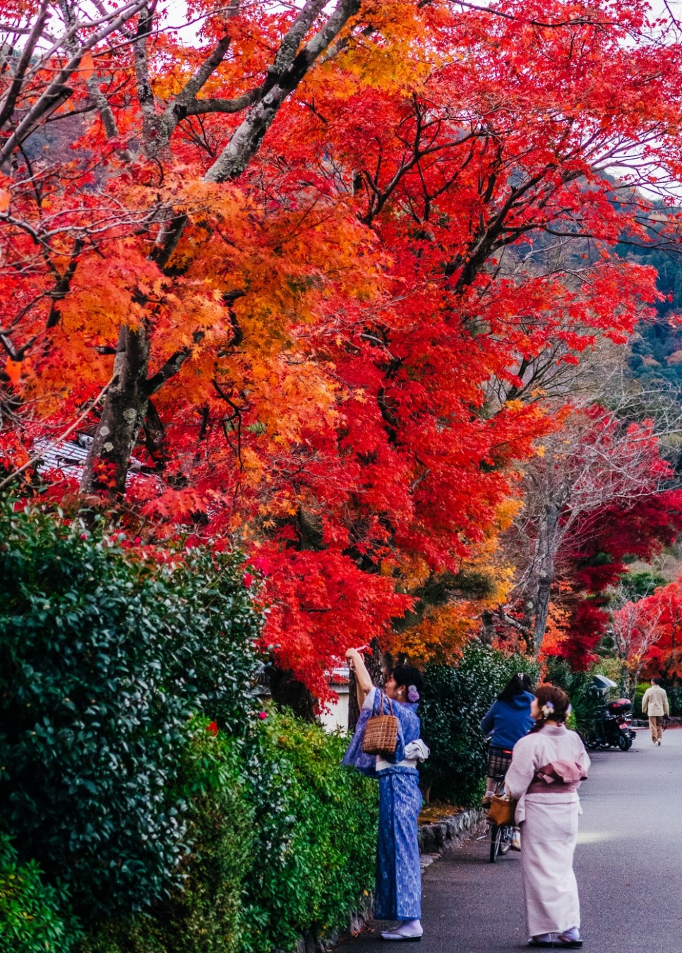 일본 자유여행 8년 만의 오사카 여행, 11월 3째주 주간일기