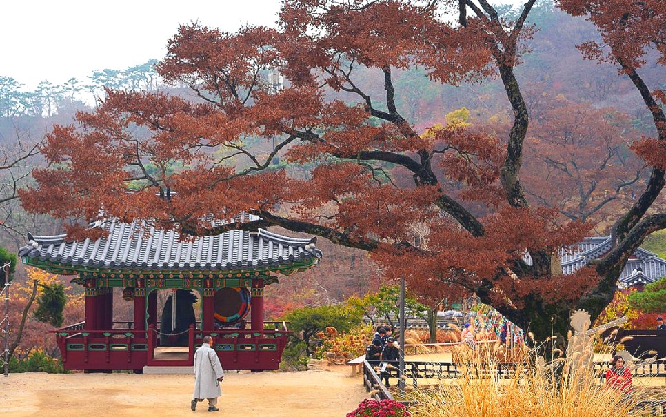 인천 가볼만한곳 여행 코스 강화도 전등사 강화나들길 평화전망대 국내 섬여행