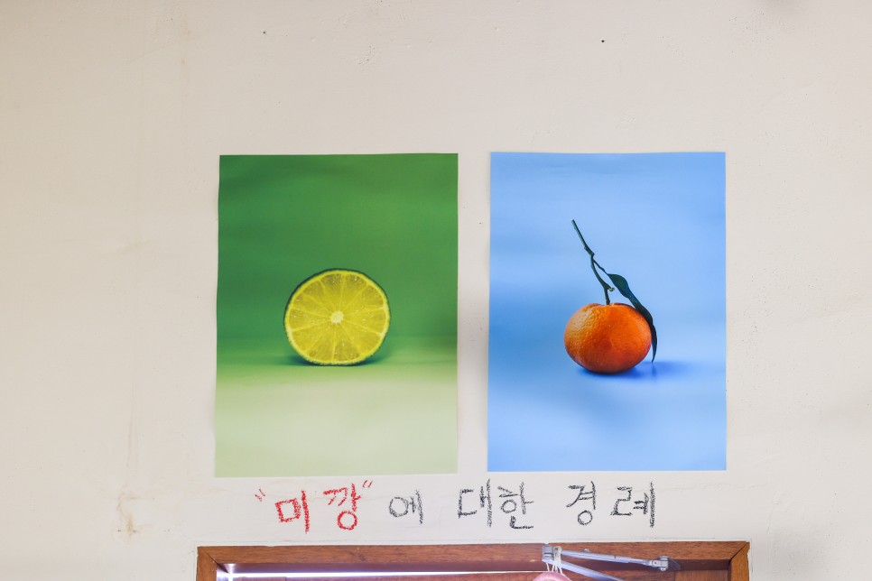 서귀포 감귤체험 농장 달달미깡 감귤밭 제주감귤체험 후기