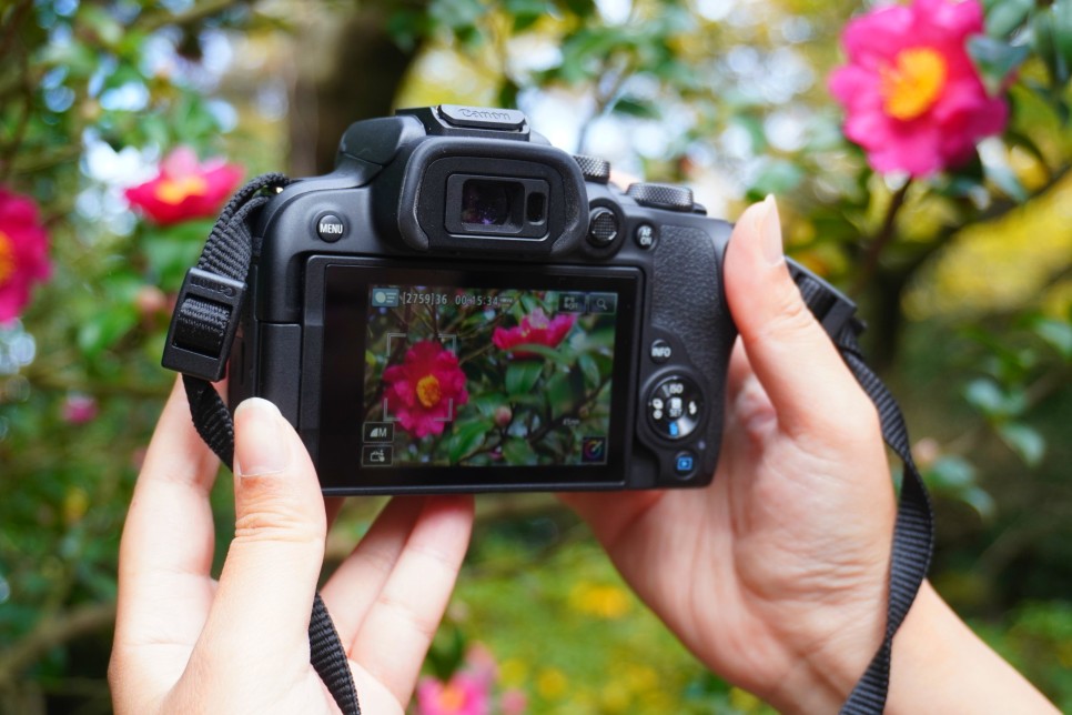 여행필수품 캐논 브이로그 카메라 추천 EOS R10
