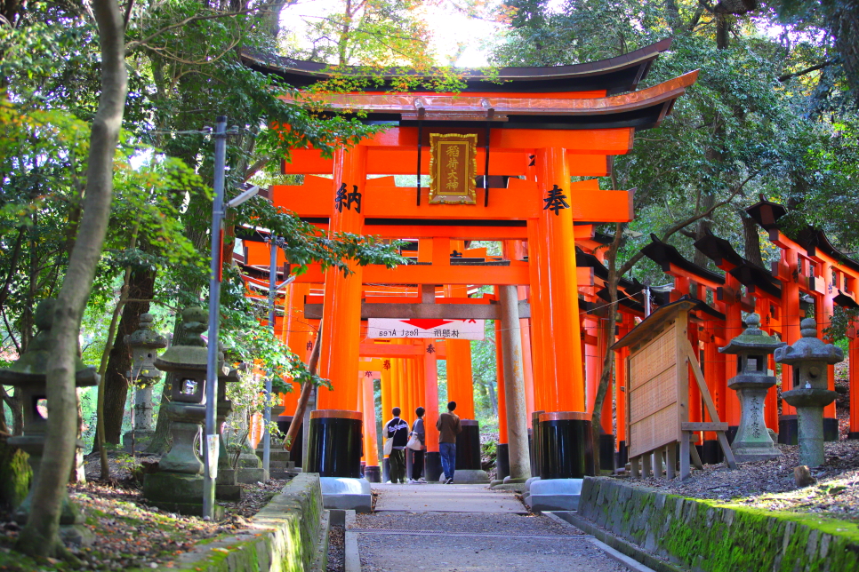 일본 여행 Visit Japan Web 비짓재팬웹 교토 날씨 단풍 실시간