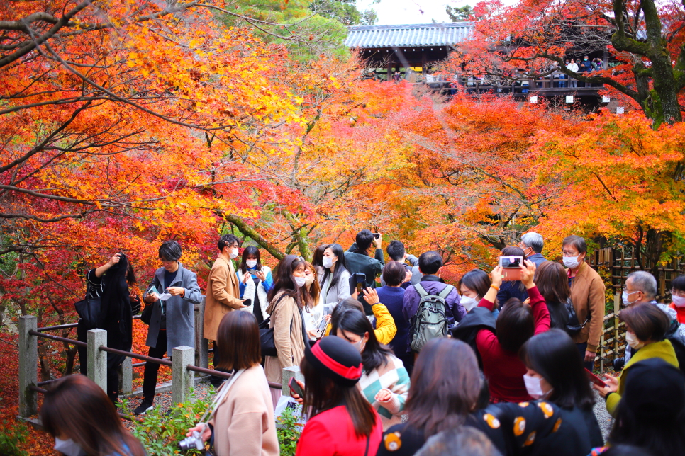 일본 여행 Visit Japan Web 비짓재팬웹 교토 날씨 단풍 실시간