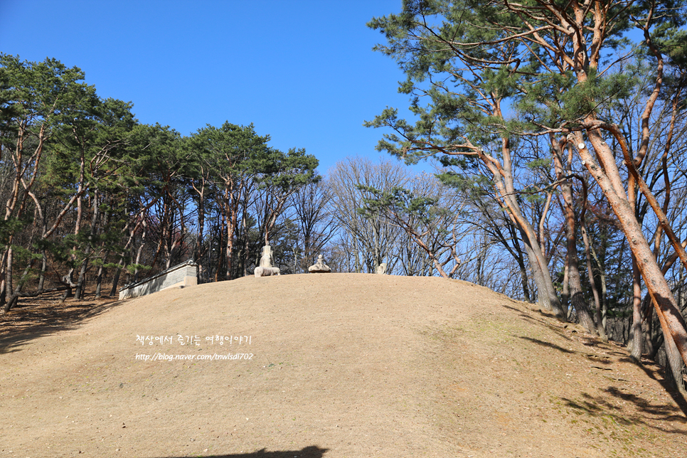 경기도 여행 고양시 가볼만한곳 조선왕릉 서오릉 산책로,볼거리,주차