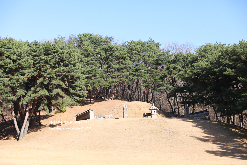 경기도 여행 고양시 가볼만한곳 조선왕릉 서오릉 산책로,볼거리,주차