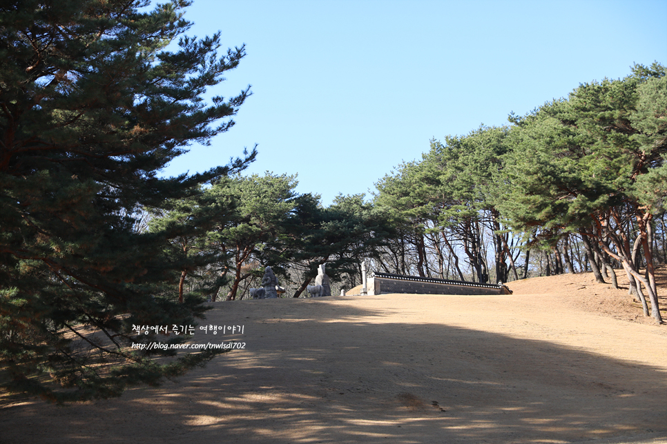 경기도 여행 고양시 가볼만한곳 조선왕릉 서오릉 산책로,볼거리,주차