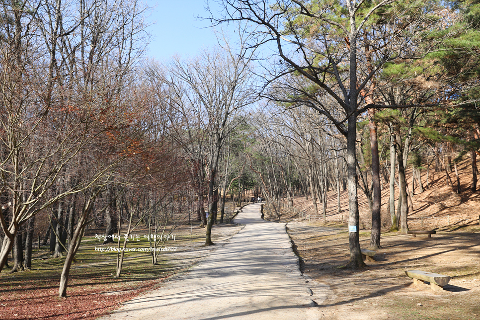 경기도 여행 고양시 가볼만한곳 조선왕릉 서오릉 산책로,볼거리,주차