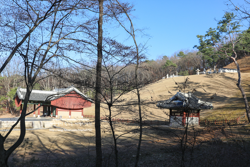 경기도 여행 고양시 가볼만한곳 조선왕릉 서오릉 산책로,볼거리,주차