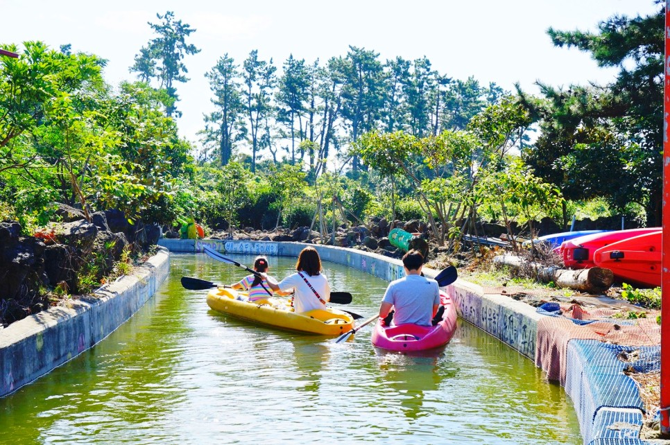 겨울 제주도 여행 제주도 핫플 제주관광지도 12월 제주도 여행