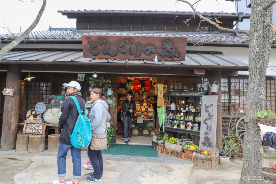 일본여행 유후인 여행 버스투어 벳부 포함 코스 및 30% 할인Tip