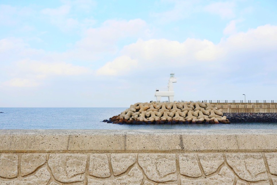 겨울 제주도 여행 제주도 핫플 제주관광지도 12월 제주도 여행