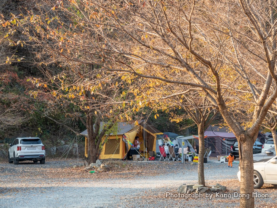 늦 가을 초 겨울 캠핑 글램핑 & 오토캠핑 고민