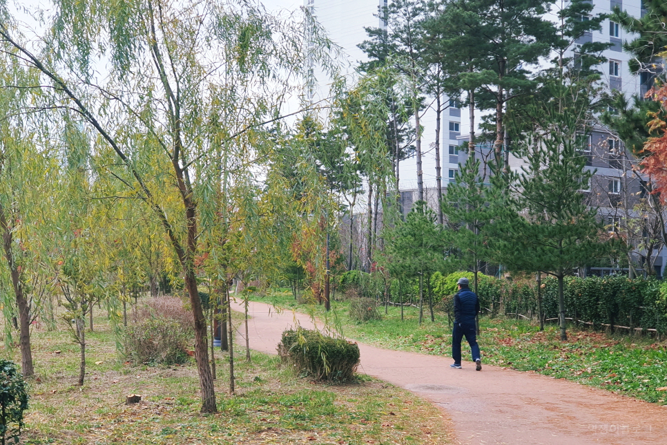 인천 가볼만한곳 산책로 걷기좋은길 있는 여행지 수인선 바람길숲