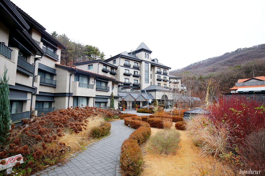 서울근교여행 이천 에덴파라다이스호텔 객실 티하우스에덴 조식