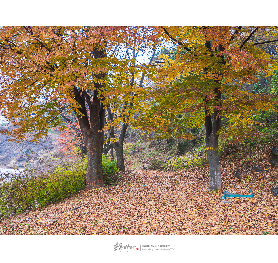 경기도 관광지 오산 독산성 세마대지 경기도 산책로