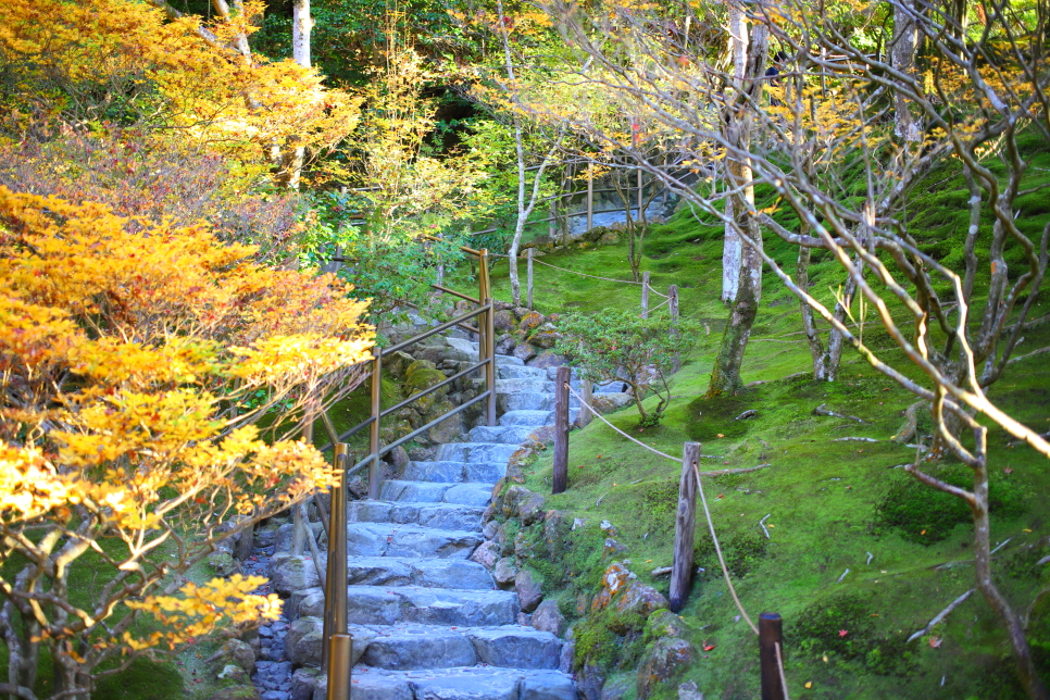 일본 교토 여행 에이칸도 철학의길 호넨인 지쇼지 은각사 단풍 코스