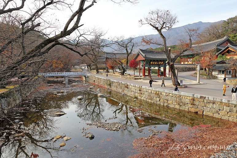 경남 양산 가볼만한곳 양산 통도사 계곡 따라 국내 가족 여행