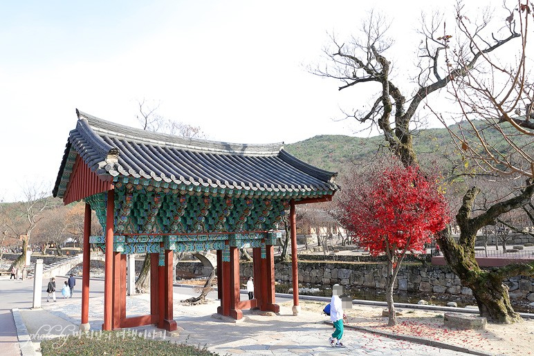 경남 양산 가볼만한곳 양산 통도사 계곡 따라 국내 가족 여행