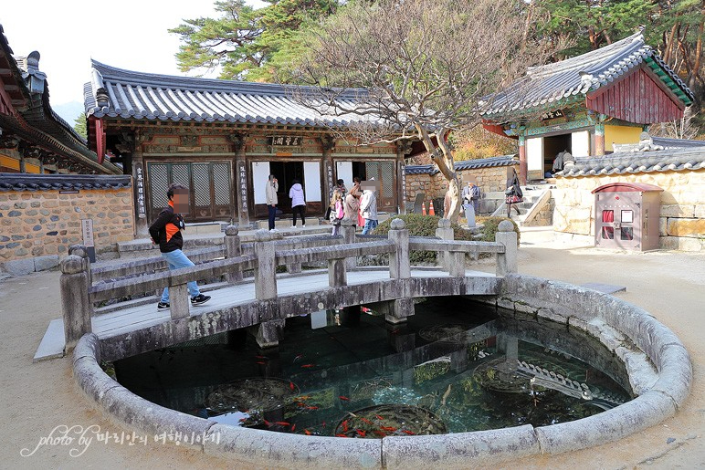 경남 양산 가볼만한곳 양산 통도사 계곡 따라 국내 가족 여행