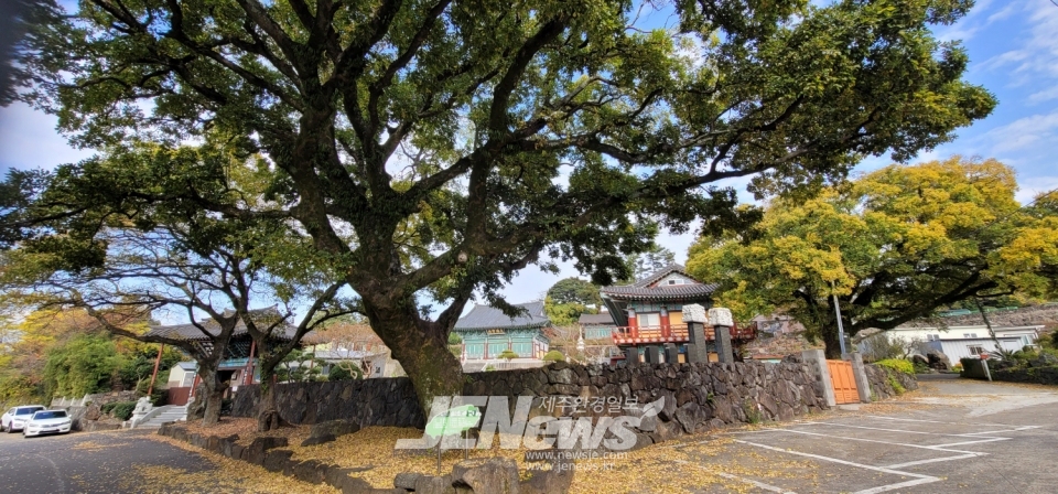 (불교순례길 탐방) 생의 모든 과정과 지혜와 깨달음도 그때그때 피었다 지는 꽃처럼..
