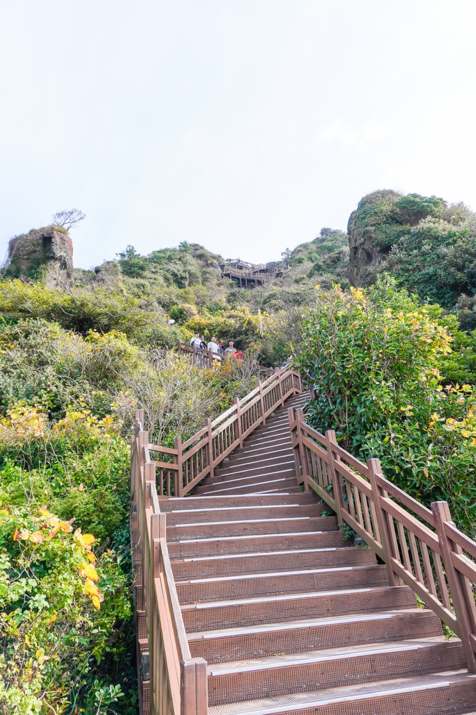 제주도 오름 추천 제주 성산일출봉 입장료 주차장 소요시간