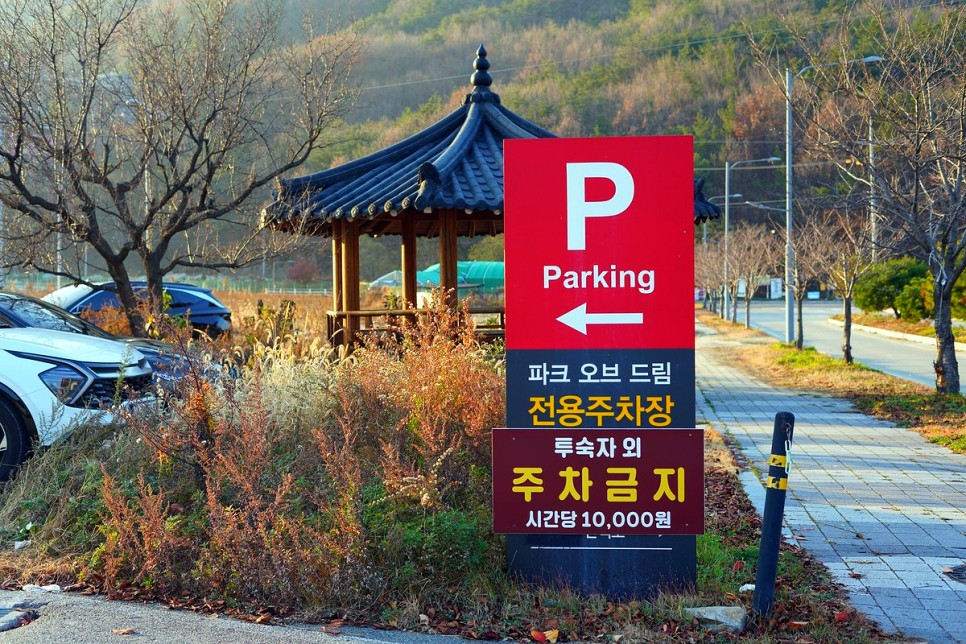 대전근교 공주 글램핑 캠핑장 럭셔리 글램핑 파크오브드림 반려견 동반