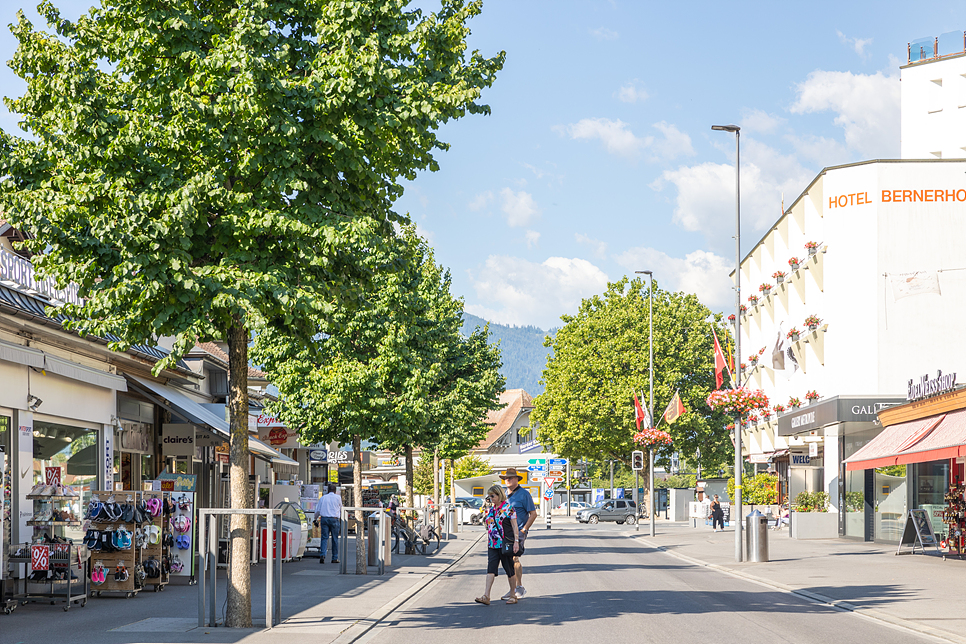 스위스 여행 인터라켄 패러글라이딩 예약방법과 후기