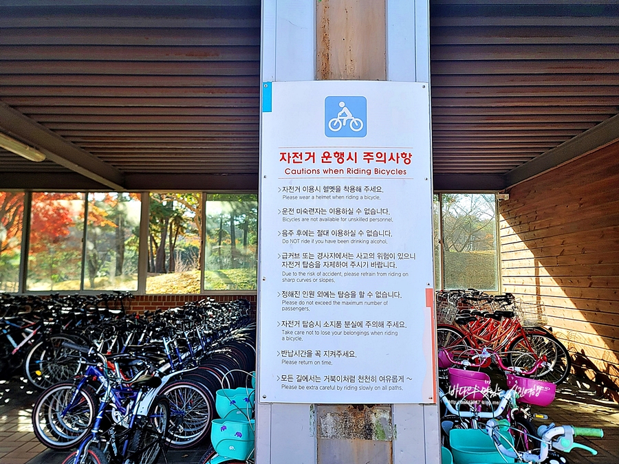 울산 가볼만한곳 울산 대공원 동물원 장미원 자전거 타고 즐겨요