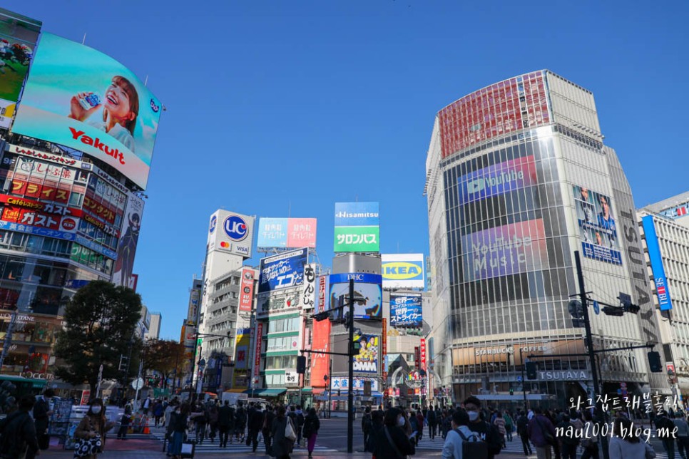 해외여행준비물 일본에서 티빙 웨이브 보는방법