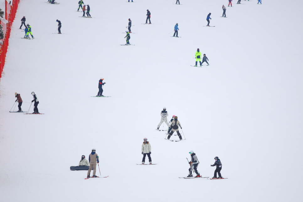 홍천 비발디파크 스키강습 어린이 스키장 후기