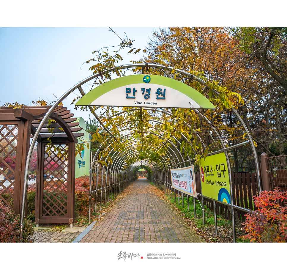 경기도 근교 여행 드라이브 오산 물향기수목원 공원 볼거리