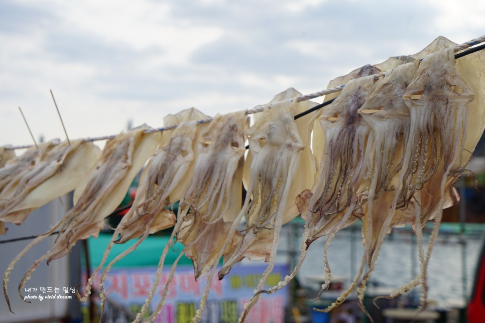 경북 영덕 가볼만한곳 강구항 해파랑공원