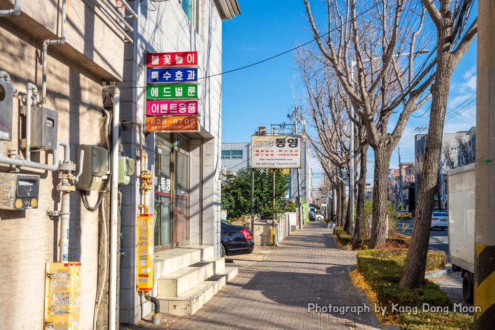 대구 여행 코스 대구 가볼만한곳 볼거리 김광석거리 안지랑곱창골목 앞산 카페거리