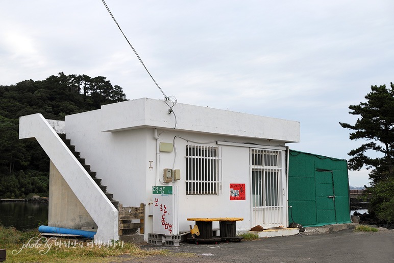 제주 오조포구 포토존 서귀포 놀거리 제주 성산 가볼만한곳