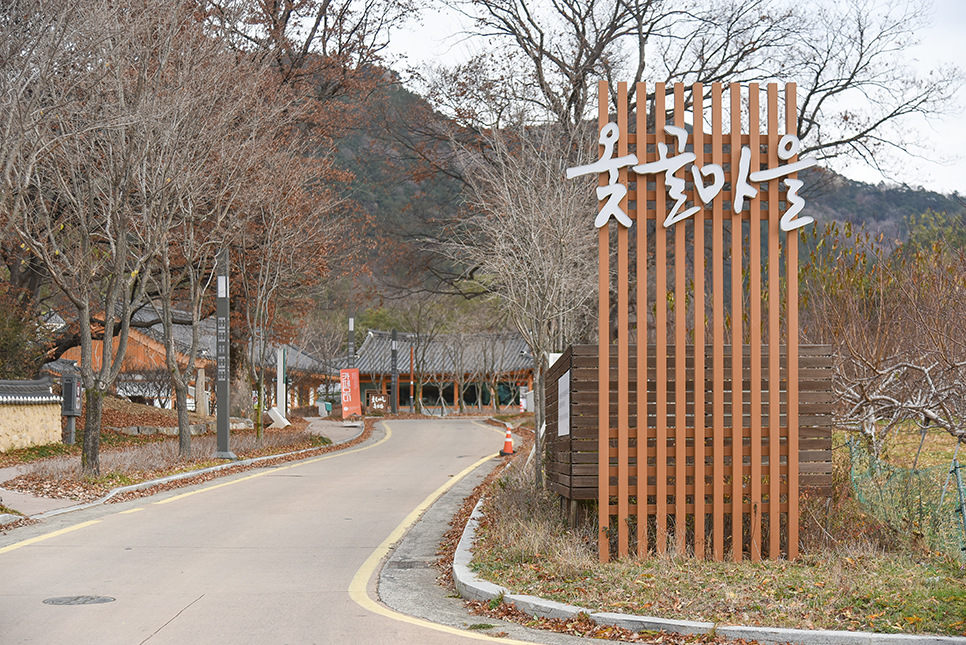 대구 여행 추천 옻골마을 즐기는 방법