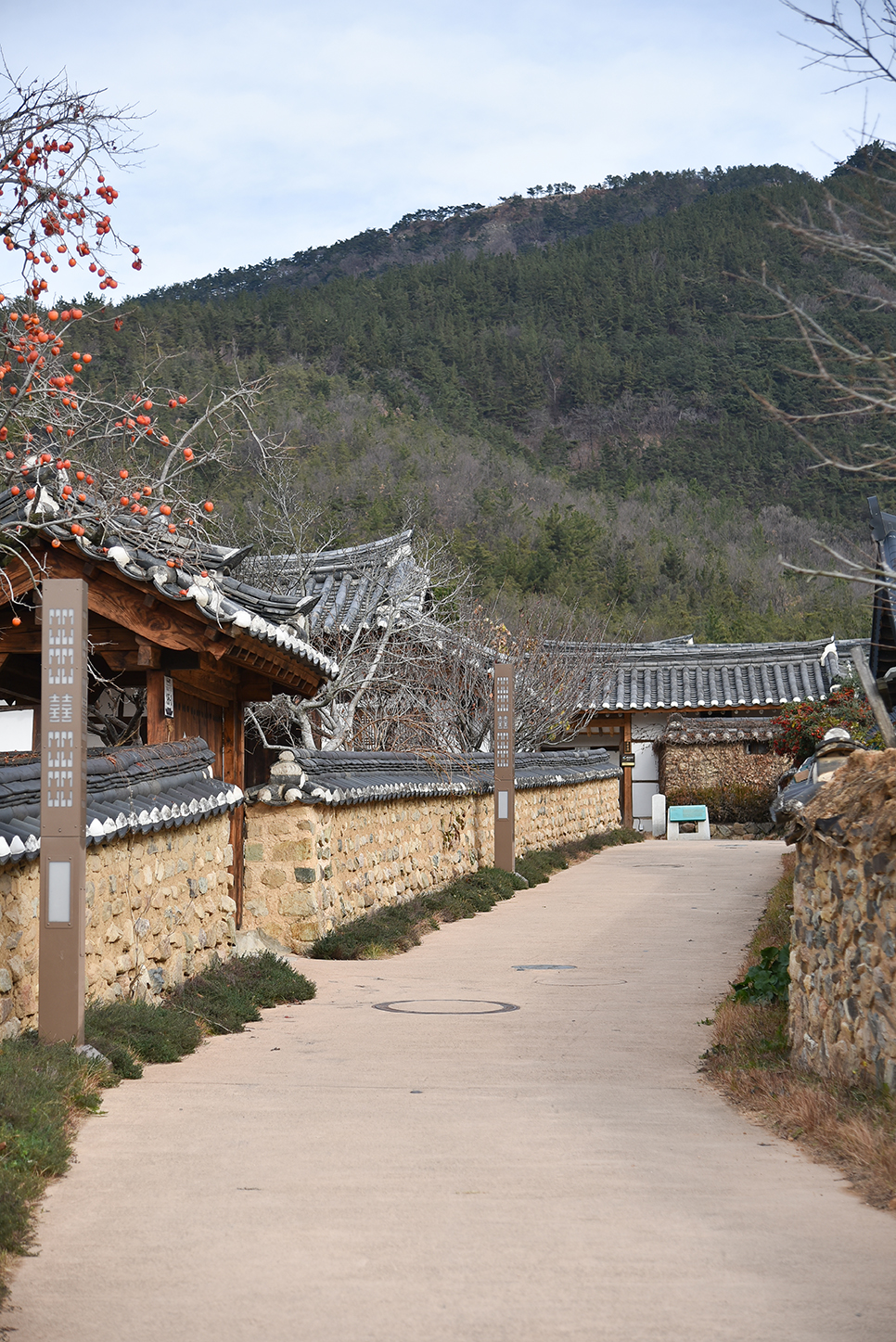 대구 여행 추천 옻골마을 즐기는 방법