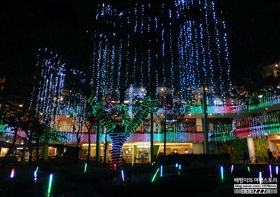 세부자유여행 한여름밤 필리핀 크리스마스 아얄라몰 가볼만한곳 심포니오브라이트