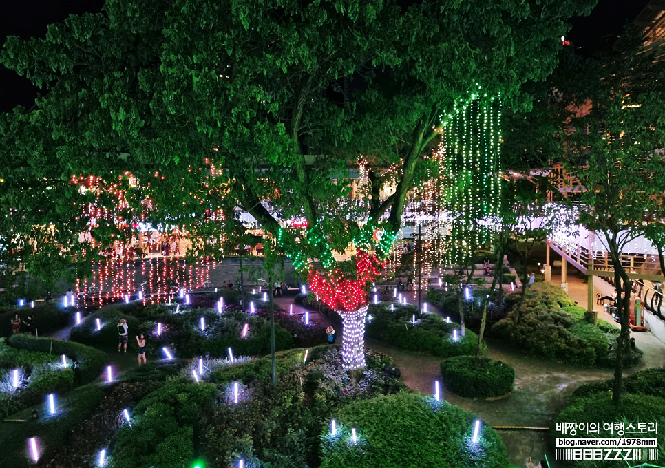 세부자유여행 한여름밤 필리핀 크리스마스 아얄라몰 가볼만한곳 심포니오브라이트