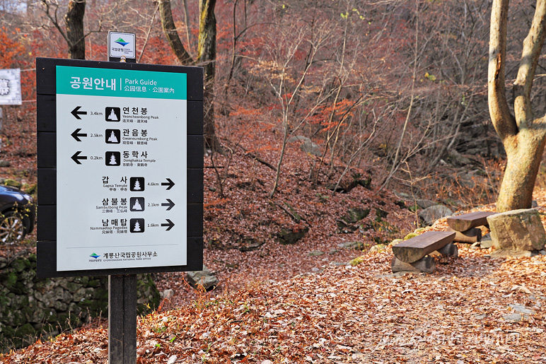 공주 가볼만한곳 충남 여행 공주 계룡산 동학사 계곡 따라...