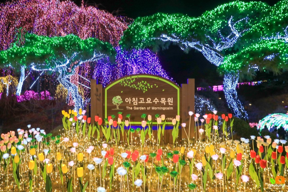 서울근교 여행 가평 아침고요수목원 오색별빛정원 불빛축제