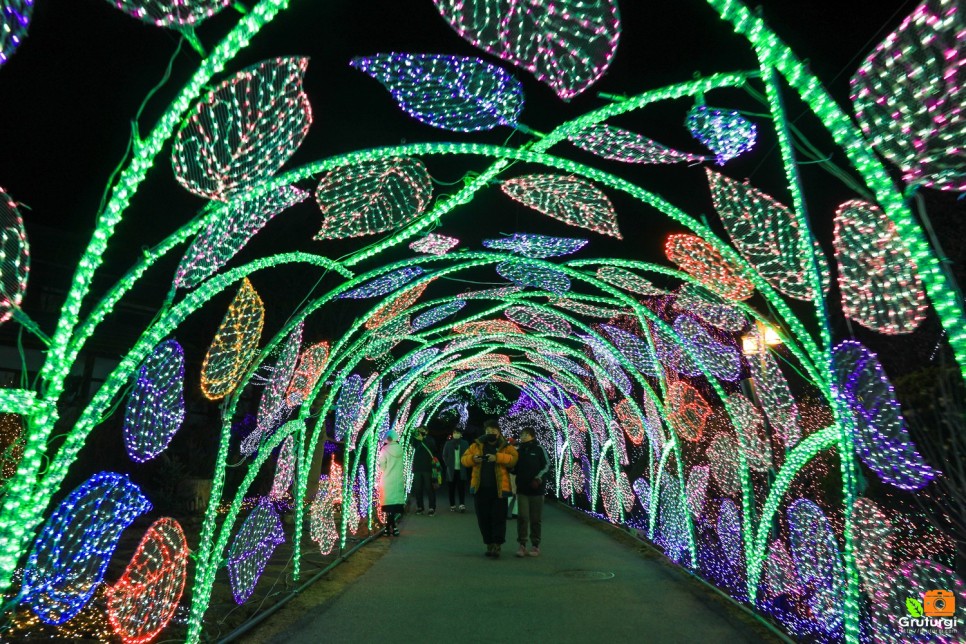 서울근교 여행 가평 아침고요수목원 오색별빛정원 불빛축제