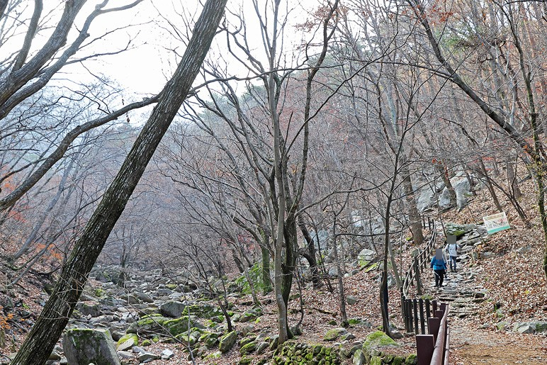 공주 가볼만한곳 충남 여행 공주 계룡산 동학사 계곡 따라...