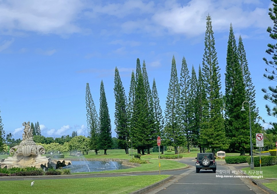 하와이 여행 이웃섬 카우아이 하루 코스 가족여행은 더 좋아요