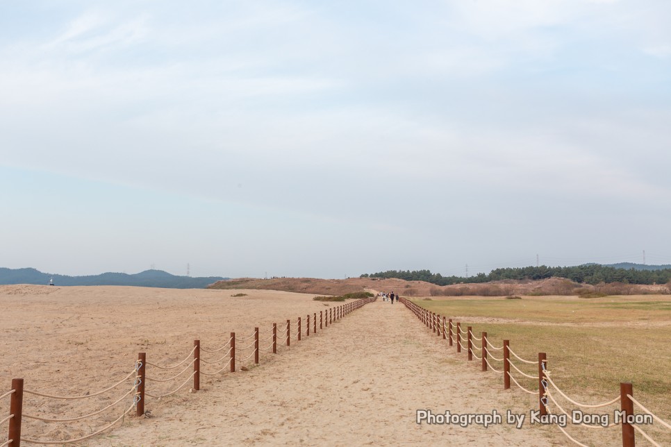 충남 서해 드라이브 태안 가볼만한곳 서해안 사막 태안 여행 코스 신두리 해안사구