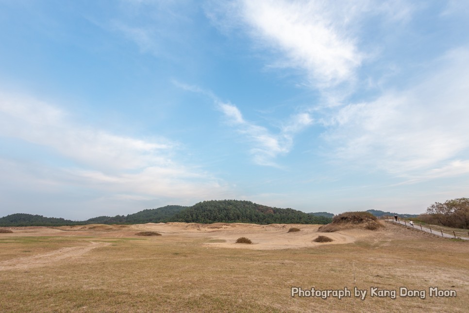 충남 서해 드라이브 태안 가볼만한곳 서해안 사막 태안 여행 코스 신두리 해안사구