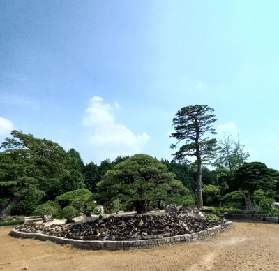 [오늘의 묵상 성구] 또 그의 성전에서 밤낮 하나님을 섬기매 보좌에 앉으신 이가 그들 위에 장막을 치시리니