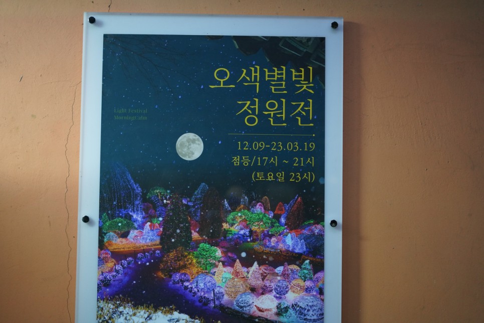 서울근교 데이트 가평 야경 명소 아침고요수목원 오색별빛정원전