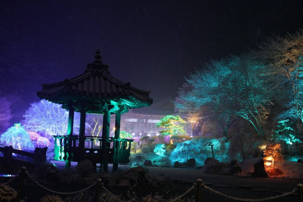 서울근교 데이트 가평 야경 명소 아침고요수목원 오색별빛정원전